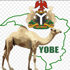 Over 5,000 Civil Servants Abscond During Yobe Staff Screening
