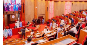 Senate Backs Tinubu’s State of Emergency in Rivers
