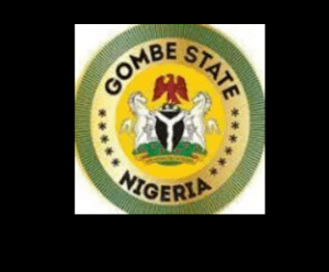 Tragedy at Gombe Eid Ground: Stampede Claims Lives of Two Children
