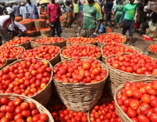 Eid-el-Kabir: NLC Urges Hope Amid Soaring Prices, Insecurity